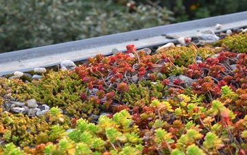 the cost of Glazebrook green roof installation