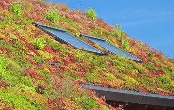 Glazebrook living roof systems